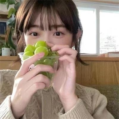 北极征熊记